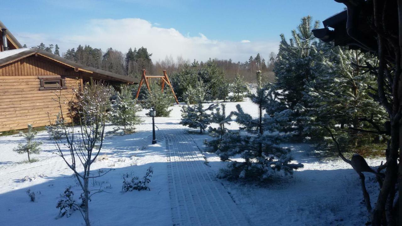 Viesu Maja Forrest Villa Dzimtmisa Eksteriør bilde